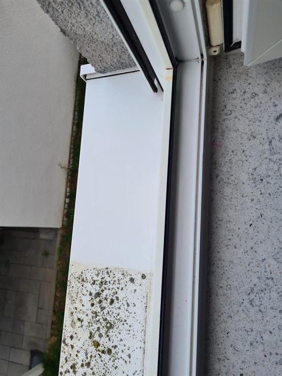 Weiße Außenfensterbank: die obere Hälfte ist sauber weiß, die untere mit grünen und grauen Flechten bewachsen