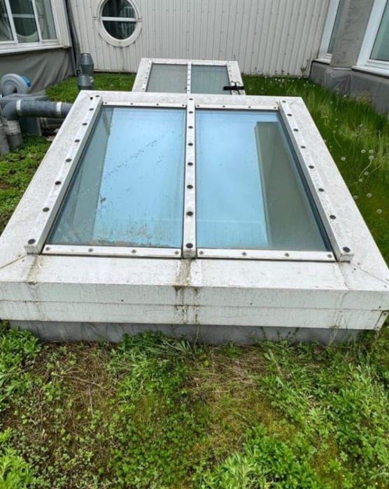 Lichtkuppel auf einem begrünten Flachdach vor der Reinigung: grau verwitterter Rahmen, belegtes Glas
